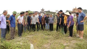 Mat mo co bi lam sao khong 1