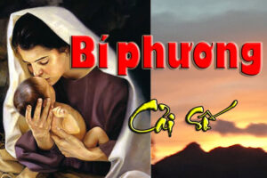 cai tao van menh