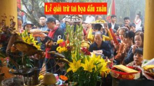 le tieu tai tru nan dau nam